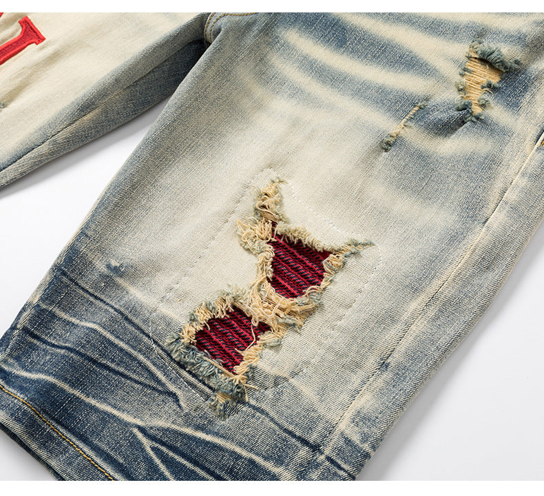 Embroidered Distressed Denim Shorts