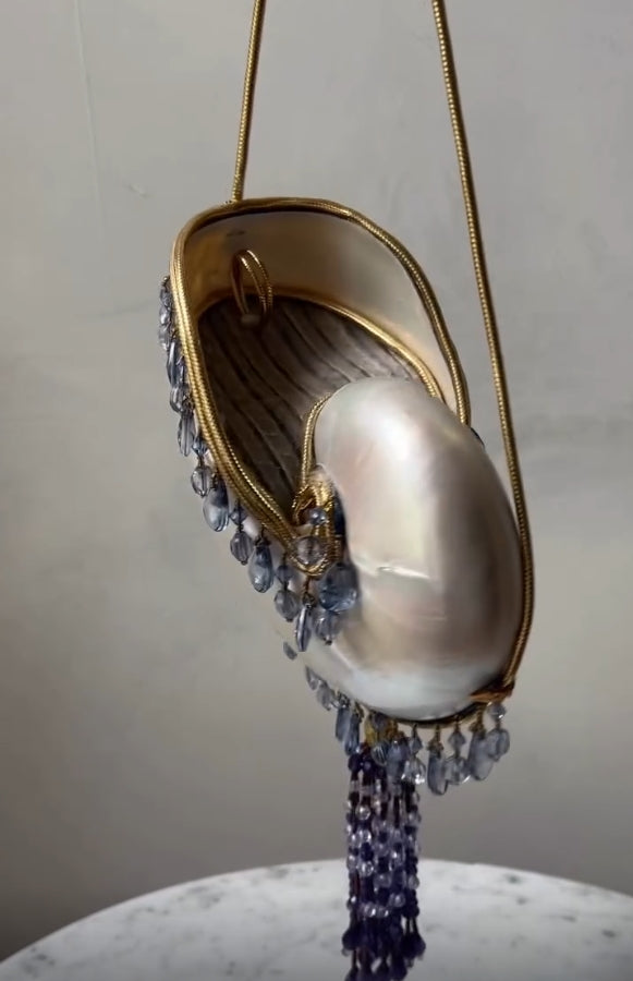 Chic Tassel Pendant Shell Bag