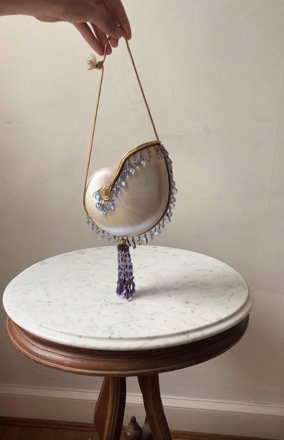 Chic Tassel Pendant Shell Bag