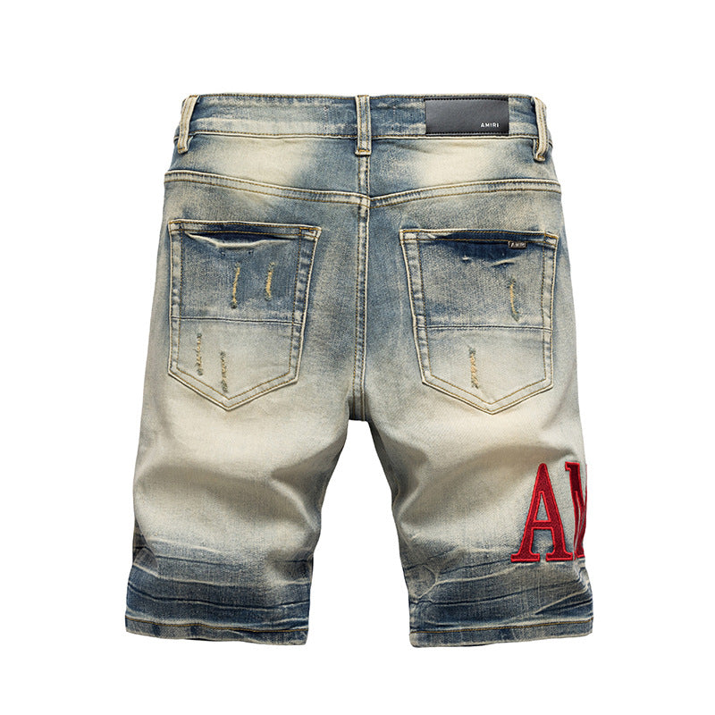 Embroidered Distressed Denim Shorts
