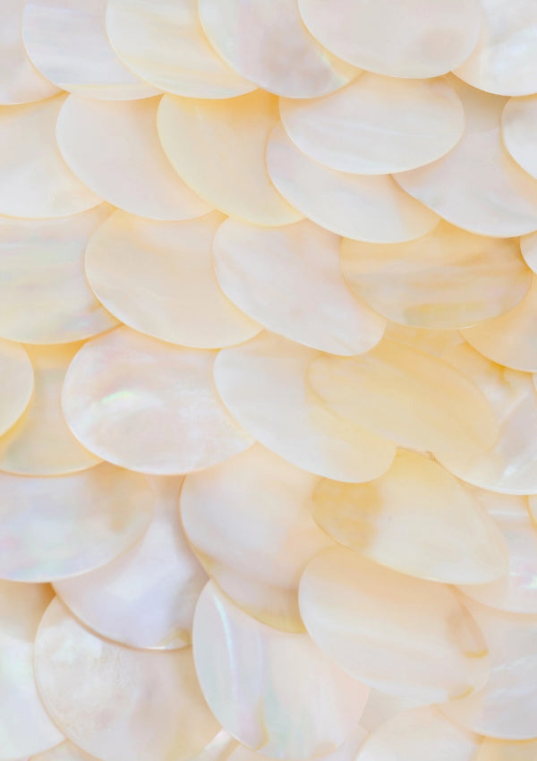 Seashell Top