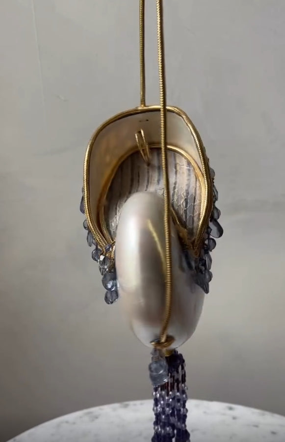 Chic Tassel Pendant Shell Bag